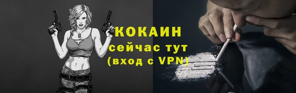 крисы Гусь-Хрустальный