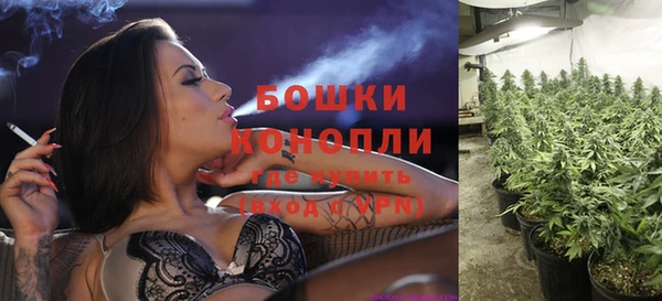 крисы Гусь-Хрустальный