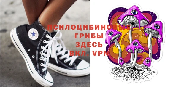 не бодяженный Гусиноозёрск