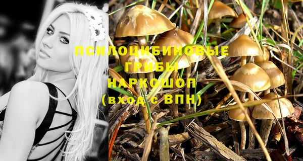 не бодяженный Гусиноозёрск